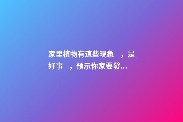 家里植物有這些現象，是好事，預示你家要發大財了！